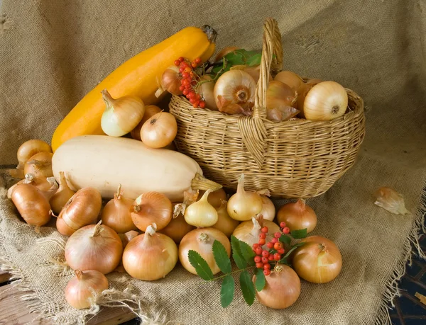 Cebolla y médula vegetal — Foto de Stock
