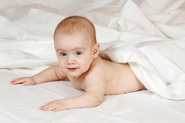 5 ヶ月の赤ちゃん — ストック写真