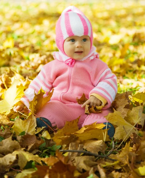 Bebek sonbahar Park'ta oturuyor. Stok Resim
