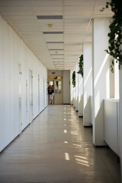 Corridoio dell'ufficio — Foto Stock