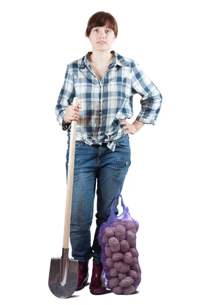 Farmář s sklizených brambor — Stock fotografie