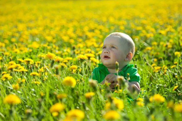 Baby girl in dandelion meadow — Stock Photo, Image
