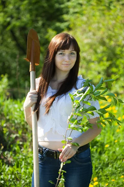 Donna felice piantare albero — Foto Stock
