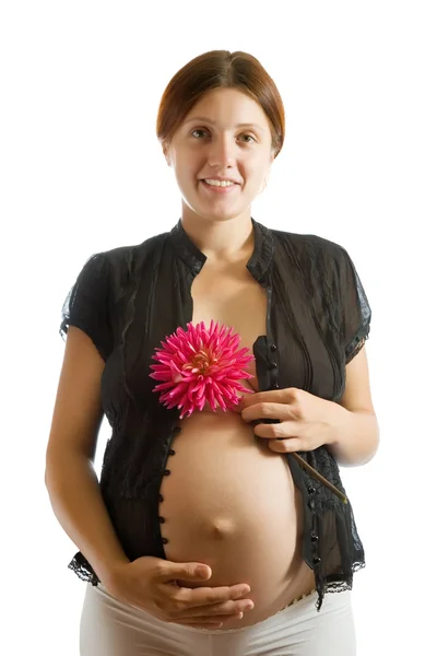 Mujer embarazada con flor sobre blanco — Foto de Stock