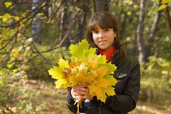 Девушка с кленовыми листьями — стоковое фото