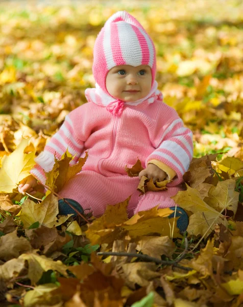 Sonbahar yaprakları ile kız bebek - Stok İmaj