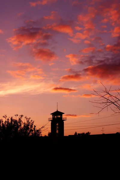 stock image Evening Silhouettes