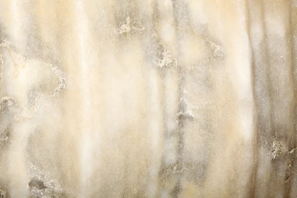 Texture of the salt walls, background
