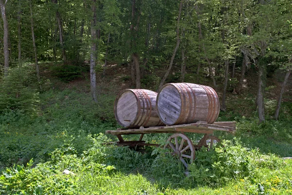 木制酒桶 — 图库照片