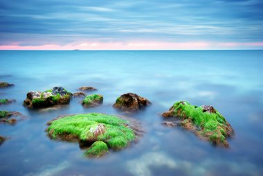 doğanın güzel seascape.natural kompozisyon.