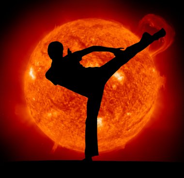 Martial art clipart