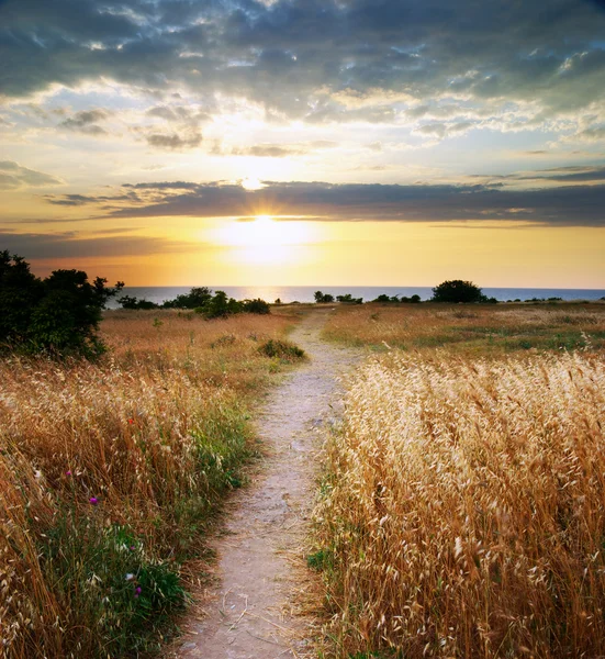 Stock image Summer sunset.