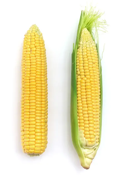 Izolované kukuřice — Stock fotografie