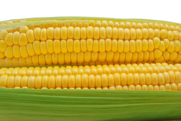 Изолированная кукуруза — стоковое фото