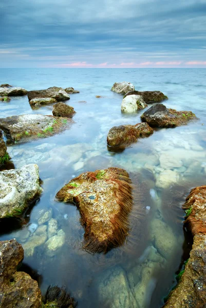 Hermoso paisaje marino.Composición natural de la naturaleza . —  Fotos de Stock