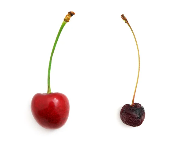 Rotten and fresh sweet cherries — Stock Photo, Image