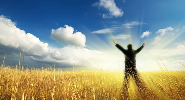 stock image Man in meadow