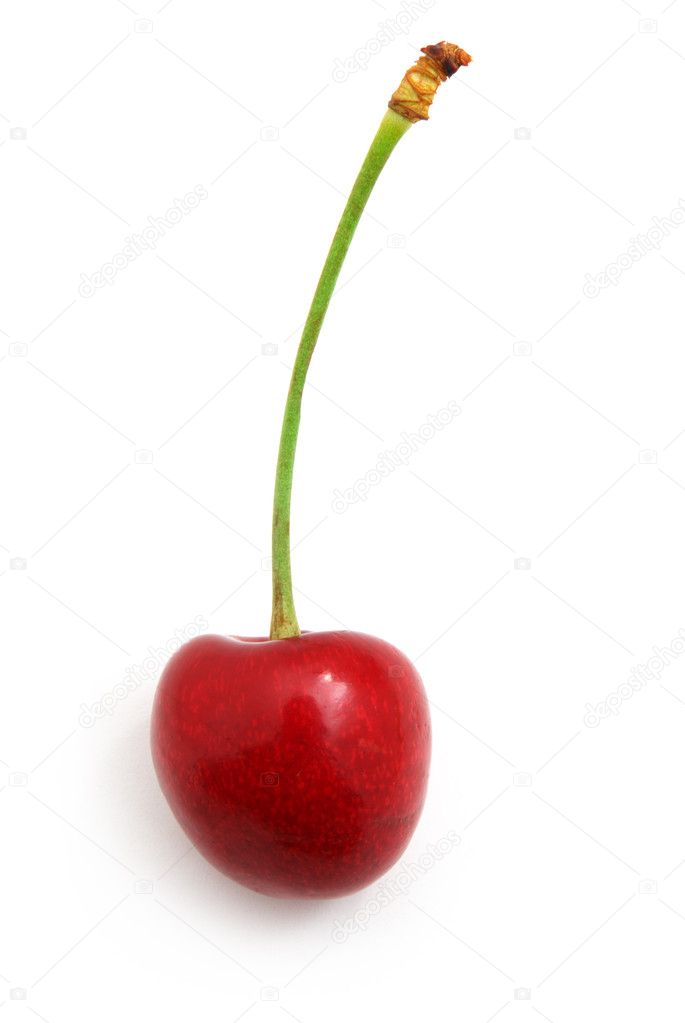 Isolated sweet cherry