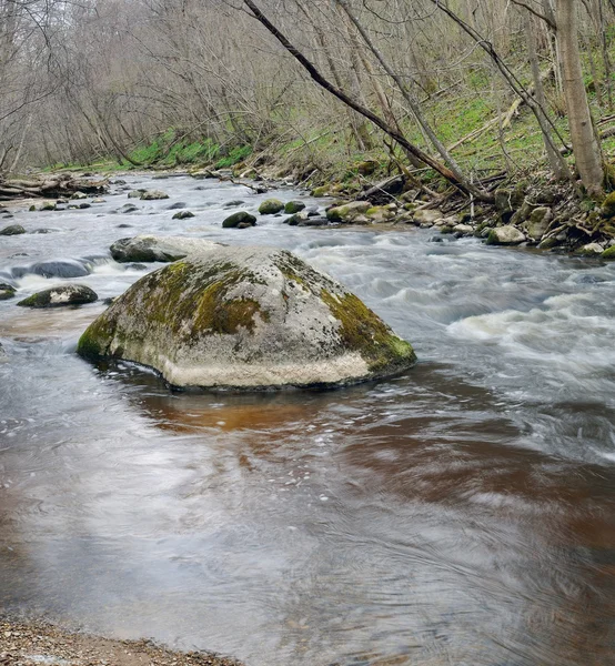 Jaro na divoká řeka — Stock fotografie