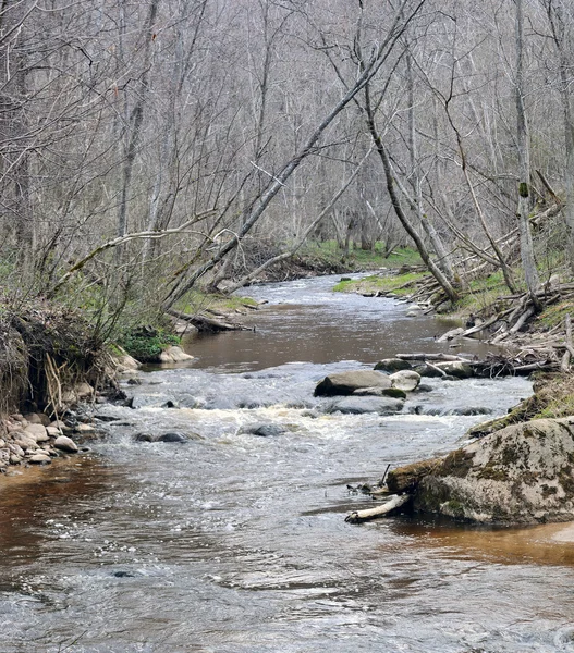 Jaro na divoká řeka — Stock fotografie