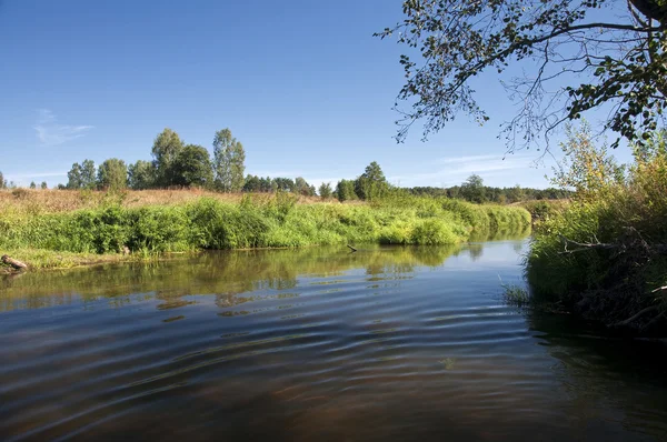 Sommarlandskap med flod — Stockfoto