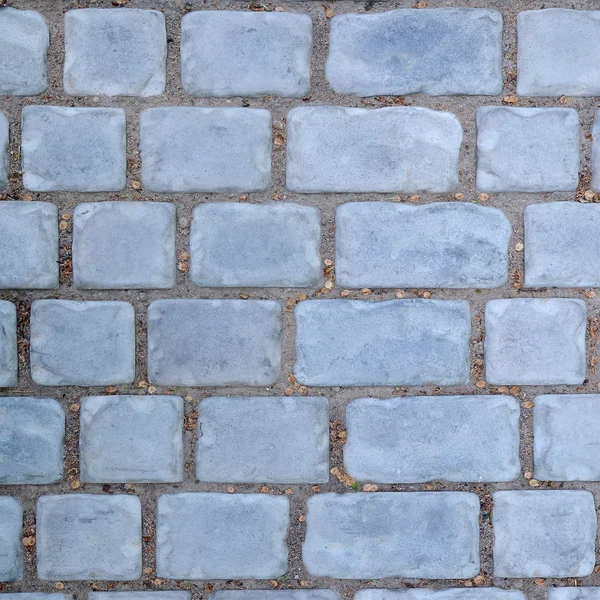 Way of cobble stones — Stock Photo, Image
