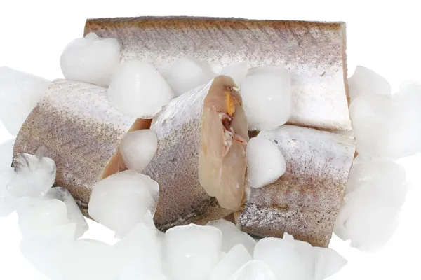Hake raw slices with ice cubes — Stock Photo, Image