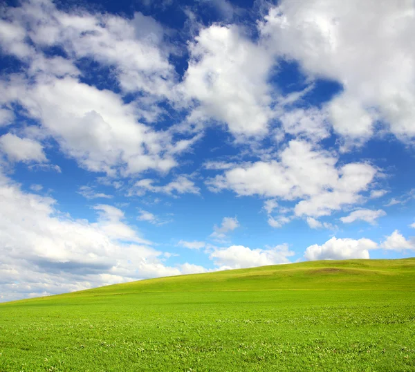 Colina verde com grama sob o céu — Fotografia de Stock