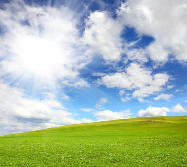 Green hill with grass under sky — Stock Photo, Image
