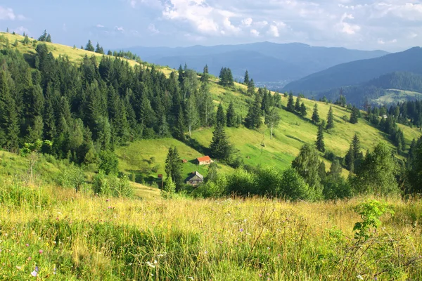 Paesaggio montano in Carpazi, Ucraina — Foto Stock