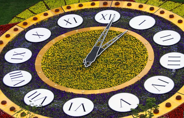 Цветочные часы — стоковое фото