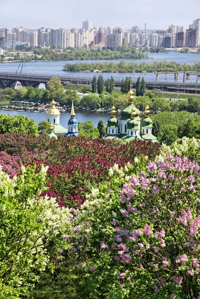 乌克兰基辅植物园 — 图库照片