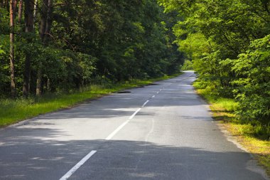 eğri yol