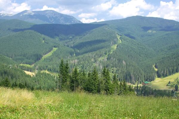 Lyžařské středisko Bukovel v létě, Karpaty, Ukrajina — Stock fotografie