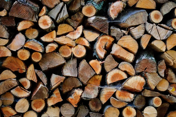 Brennholz — Stockfoto