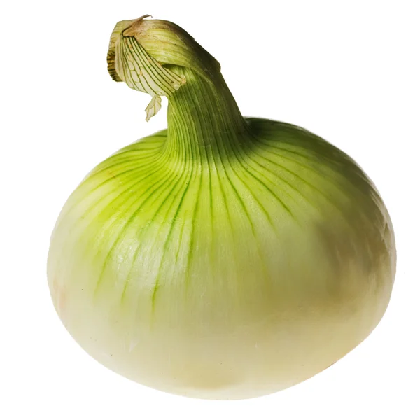 Onion head — Stock Photo, Image