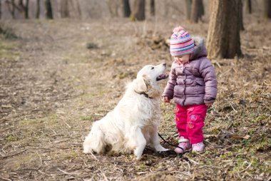 golden retriever ile kız