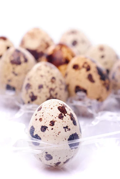 Quail's eggs — Stock Photo, Image