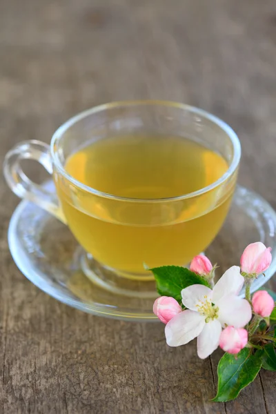 Зеленый чай в стеклянной чашке — стоковое фото