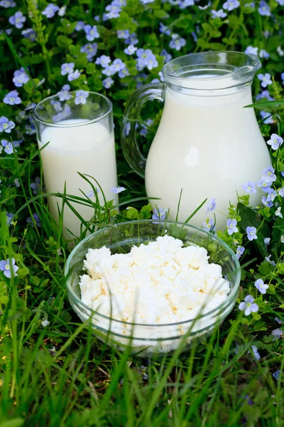 Productos lácteos sobre hierba —  Fotos de Stock