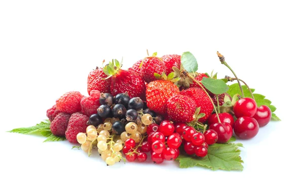 Vruchten en bessen — Stockfoto