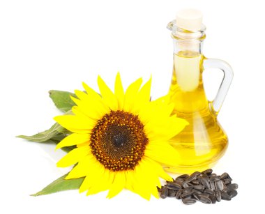 Sunflower seed oil clipart