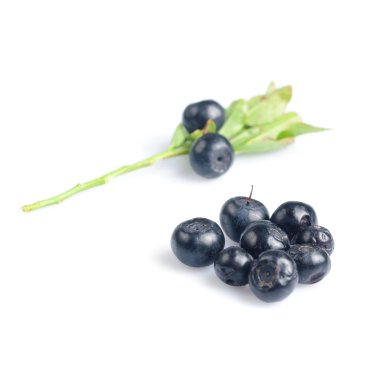 bilberry