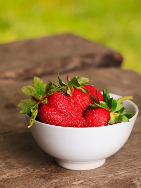 Erdbeere im Freien — Stockfoto