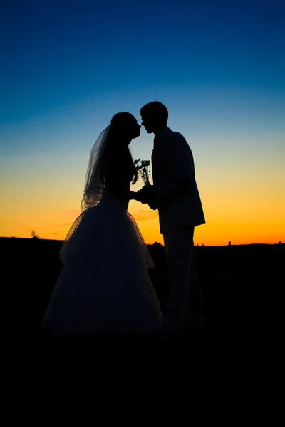 Bröllop sunset — Stockfoto