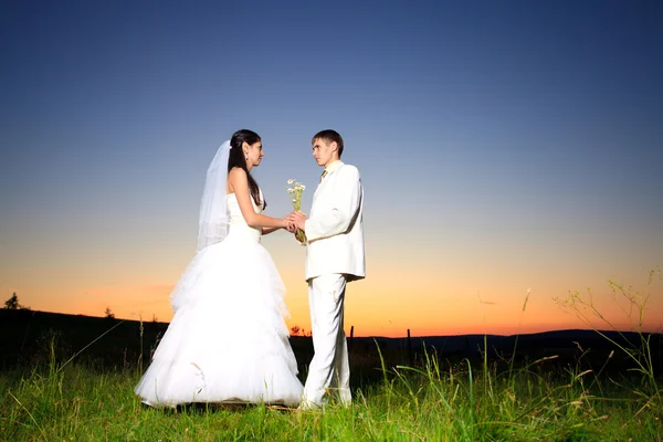 Bruiloft zonsondergang — Stockfoto