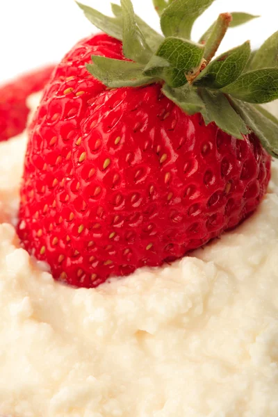 Strawberry and curd — Stock Photo, Image