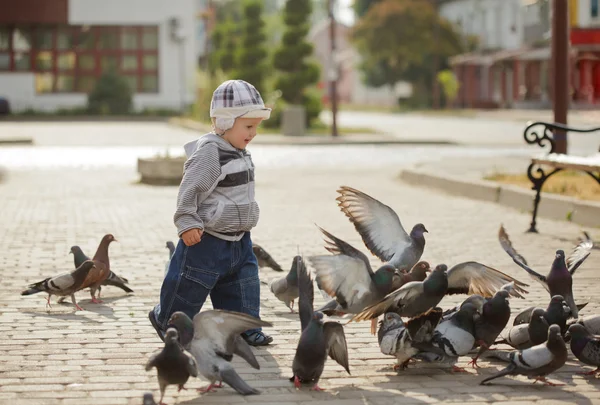 Niño y palomas — Foto de Stock
