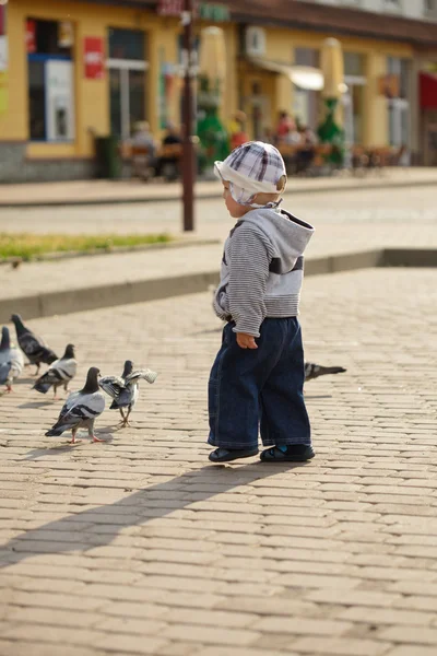 Chłopiec i gołębie — Zdjęcie stockowe