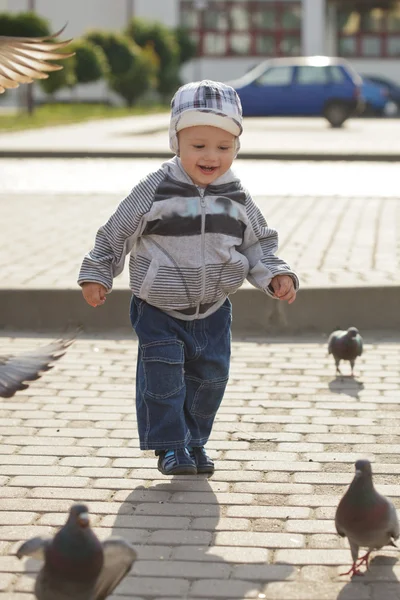 Boy and pigeons — Stock Photo, Image
